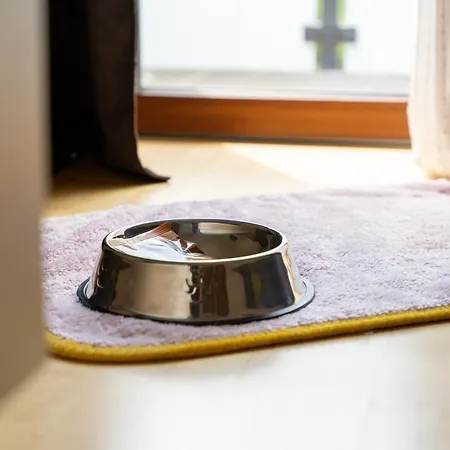 Annemarie زيل أم سي